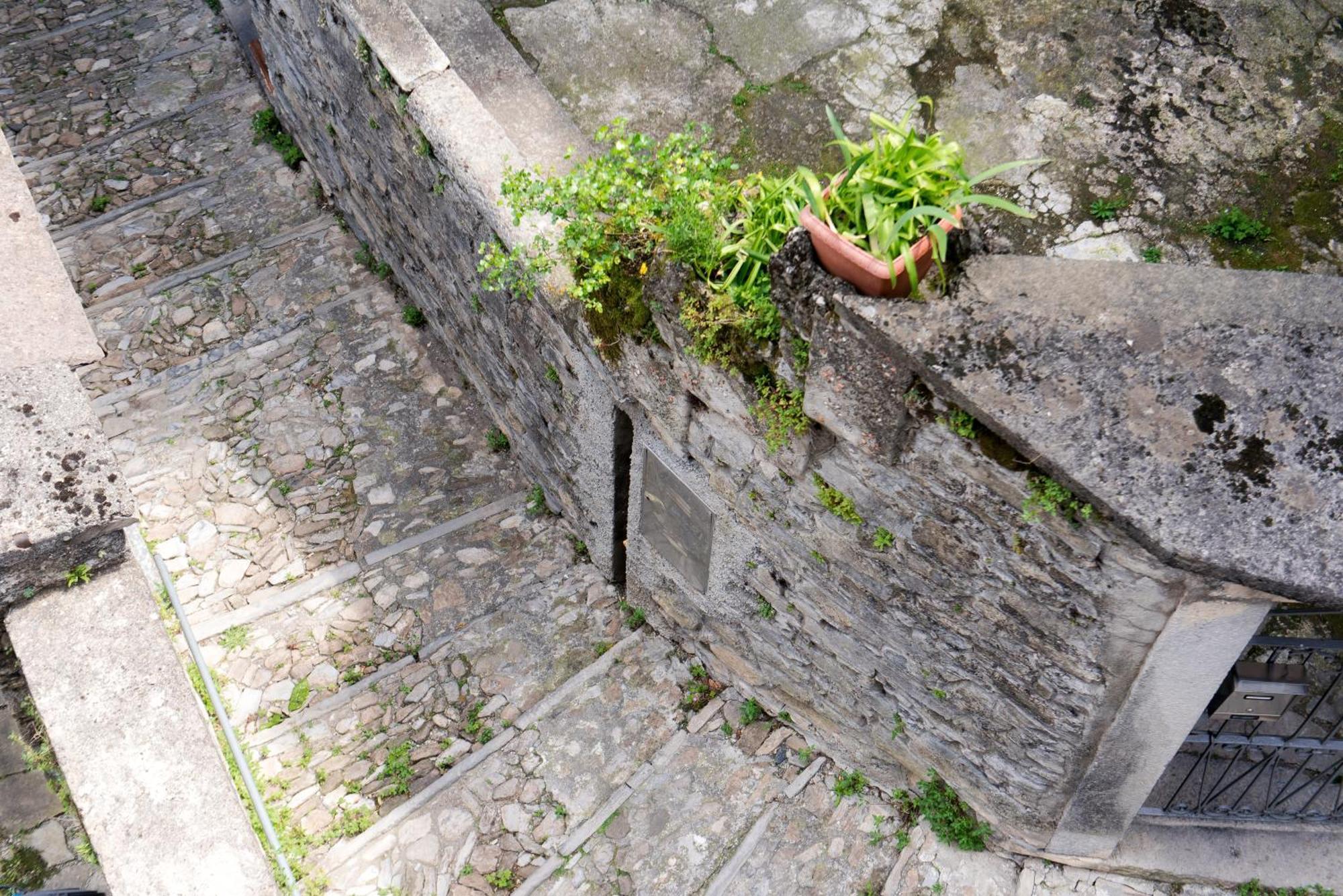 Above George Appartement